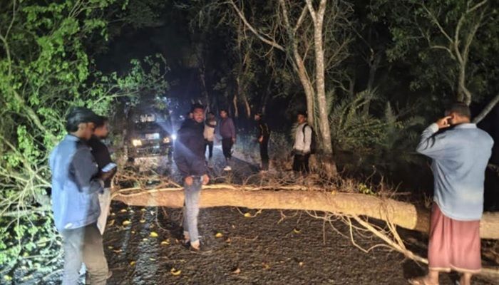 সড়কে গাছ ফেলে ডাকাতির চেষ্টা