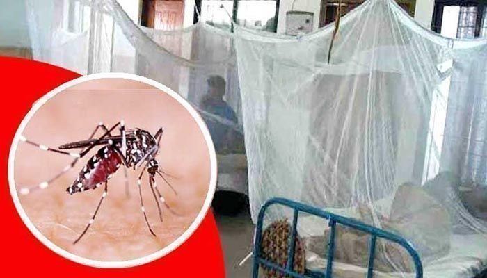 হাসপাতালে ভর্তি ডেঙ্গু আক্রান্ত রোগীরা। ফাইল ছবি