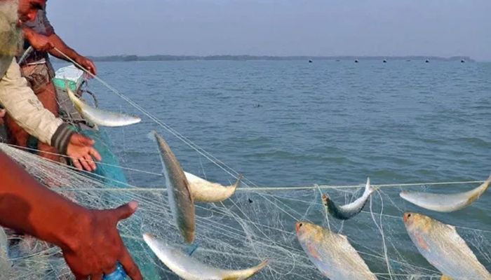 ৫৮ দিন ইলিশ ধরা এবং বিক্রি বন্ধ