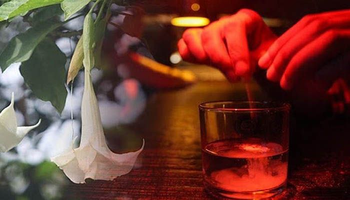 ‘শয়তানের নিশ্বাস’ থেকে নিরাপদ থাকতে যা করবেন 