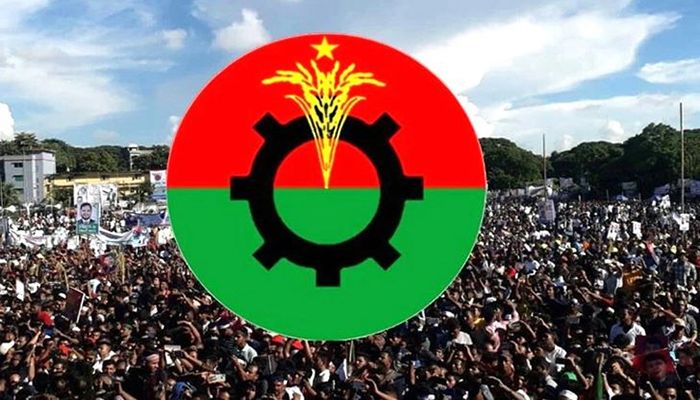 বাংলাদেশ জাতীয়তাবাদী দলের লোগো। ফাইল ছবি 