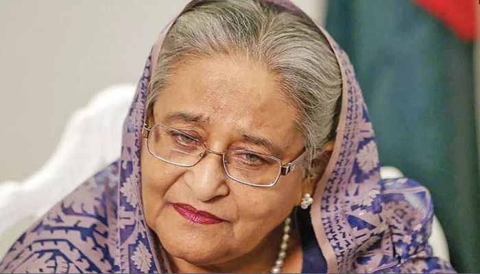 ‘হাসিনাকে ফেরাতে প্রয়োজনীয় কাগজপত্র দিল্লিকে পাঠিয়েছে ঢাকা’