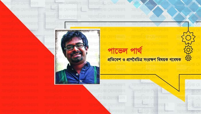 রুপাইয়াদের মনের ক্ষত কে সারাবে?