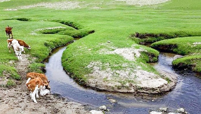 এক লাফেই পার হওয়া যায় যে নদী