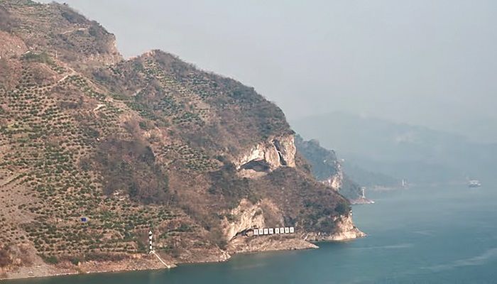 কুকুর নয়, এটি পাহাড়
