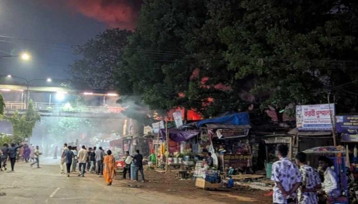 রাজধানীর শাহবাগের পাইকারি ফুল মার্কেট। ছবি: সংগৃহীত