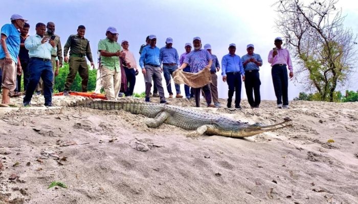 রাজশাহীতে দেশের প্রথম ঘড়িয়াল প্রজনন কেন্দ্র