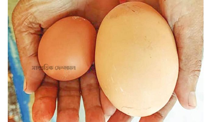 মুরগির ১৮০ গ্রাম ওজনের ডিম