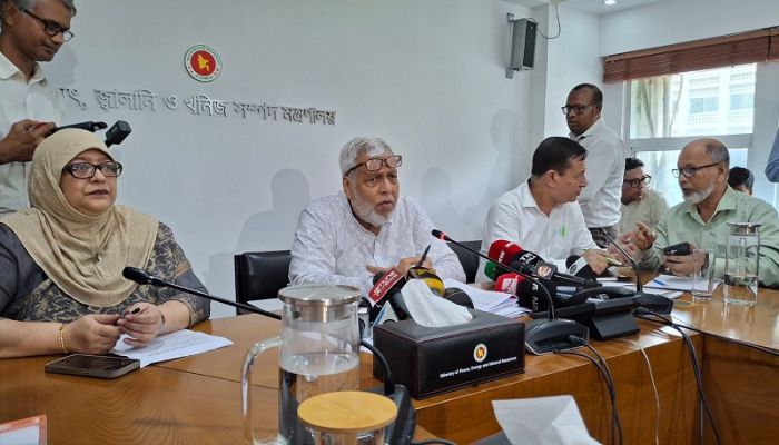 দক্ষিণে গ্রিড বিপর্যয়ের কারণ খুঁজতে ৮ সদস্যের কমিটি