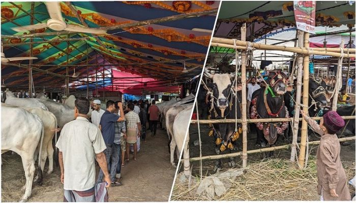 গাবতলী হাটের ইজারার অনিয়ম তদন্তে কমিটি গঠনের নির্দেশ