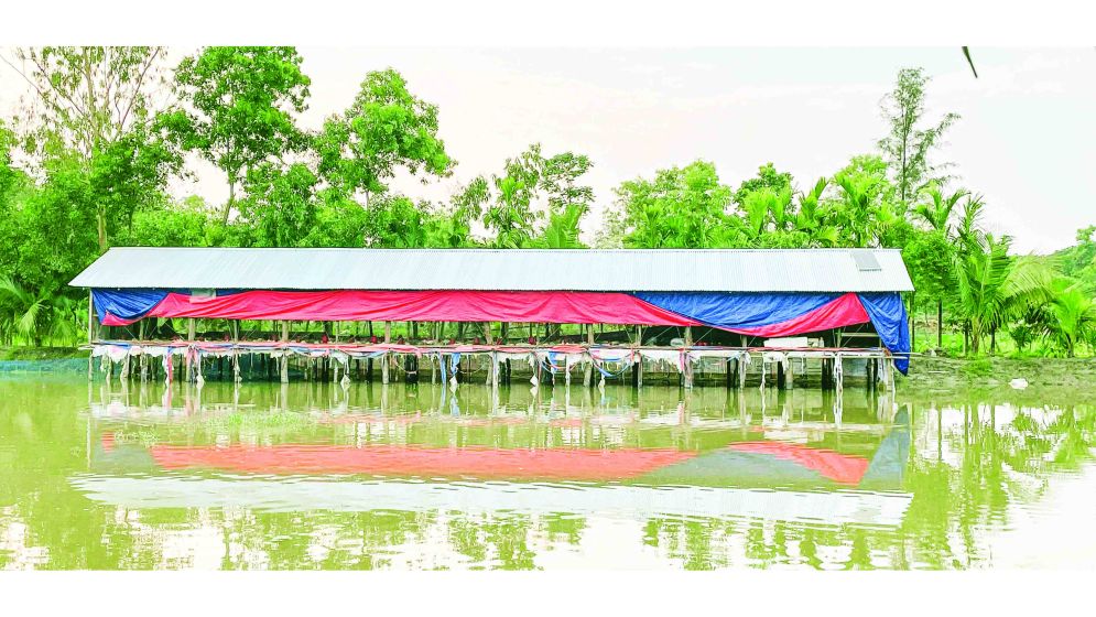 সমন্বিত খামারে পরিবেশ ও স্বাস্থ্যঝুঁকি