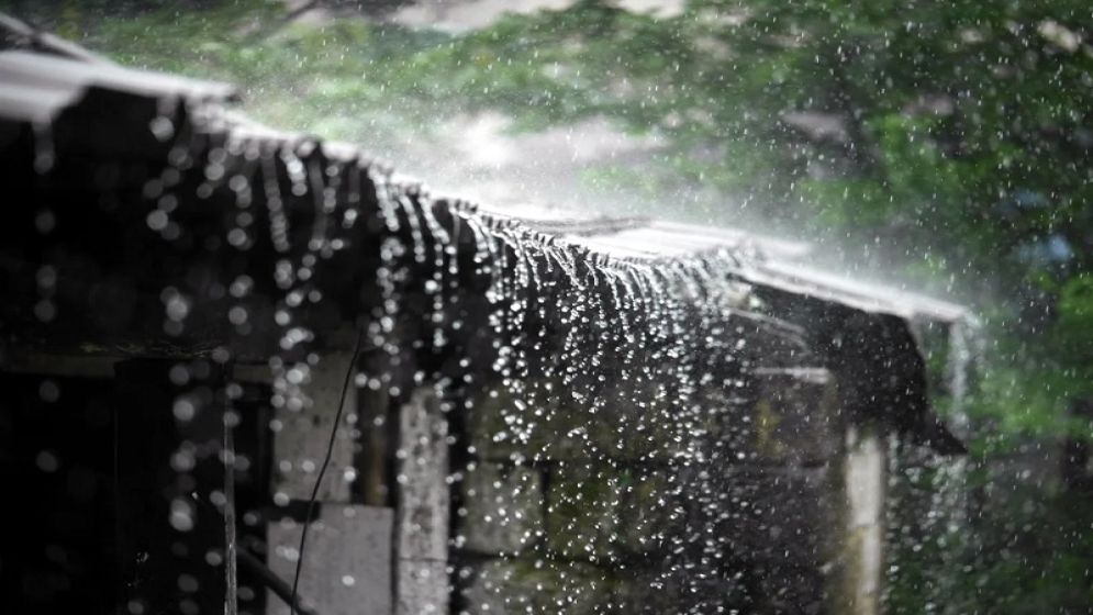 বৃষ্টির ১০ রাজ্য, রোদ যেখানে অতিথি