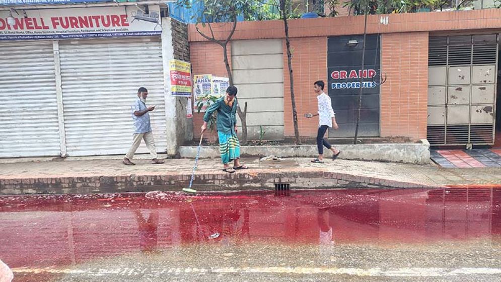 যেখানে সেখানে কোরবানি, দূষণের শঙ্কা