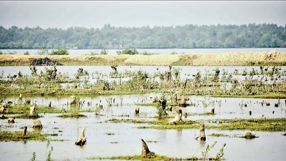 জীববৈচিত্র্যের আশ্রয়স্থল সোনাদিয়া দ্বীপ বাঁচাতে হবে