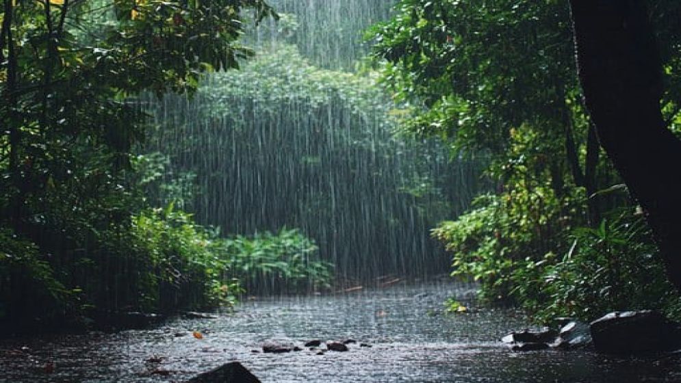 আকাশ যখন টানা ৩৩১ দিন কেঁদেছিল