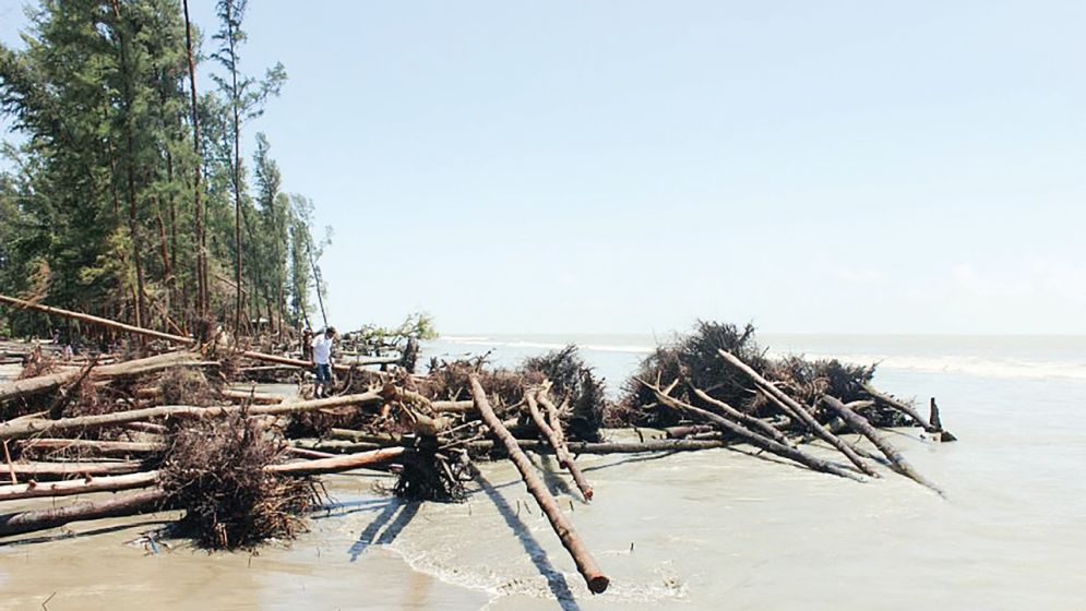 সংকটে কুয়াকাটা সমুদ্রসৈকত