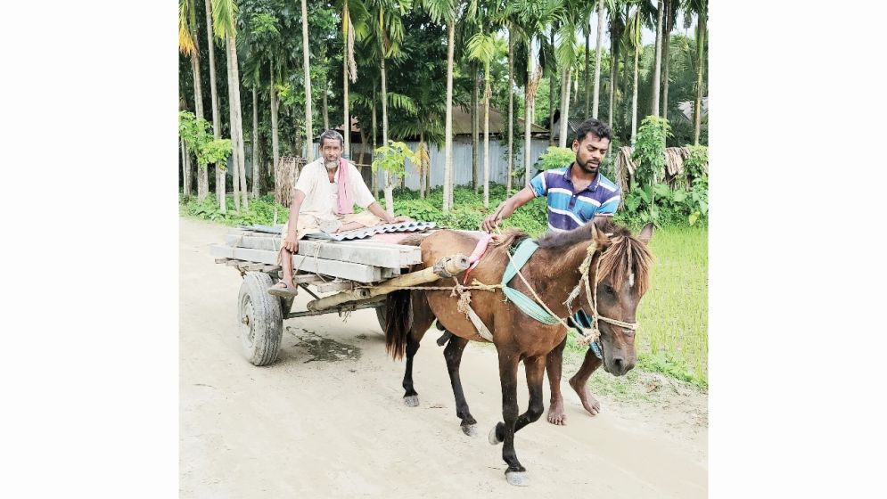ফুলবাড়ির চরাঞ্চলে ঘোড়ার গাড়িই ভরসা