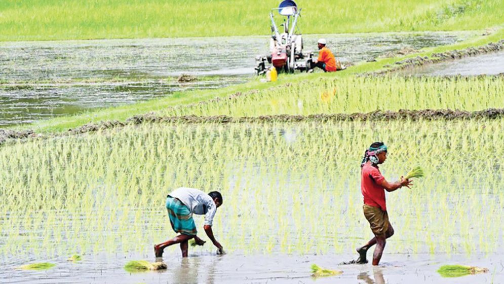 বদলে যাচ্ছে গ্রাম, বদলে যাচ্ছে অর্থনীতি