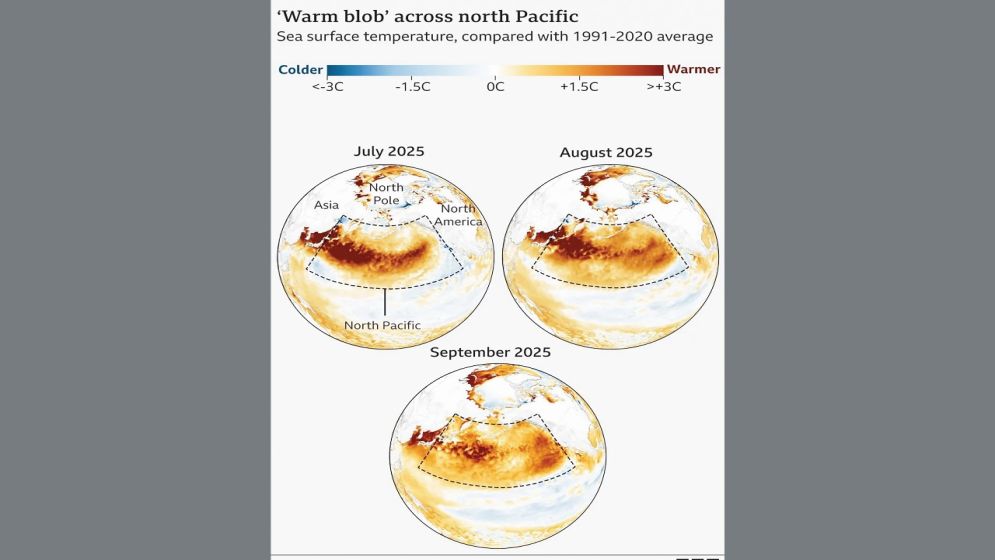 প্রশান্ত মহাসাগরে ওয়ার্ম ব্লব হুমকিতে বৈশ্বিক আবহাওয়া