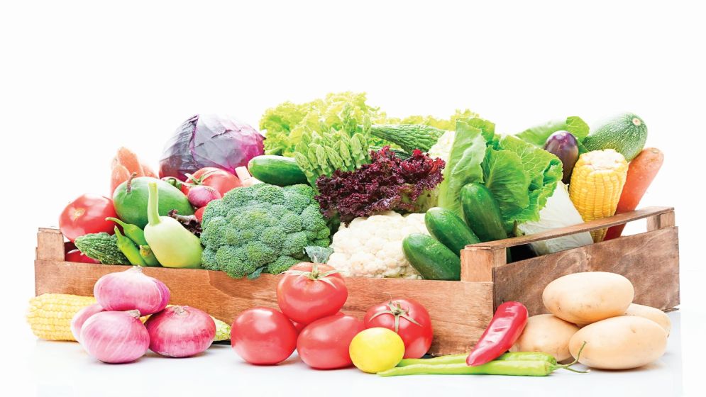 ওটিটিতে ইয়াশ-তটিনী