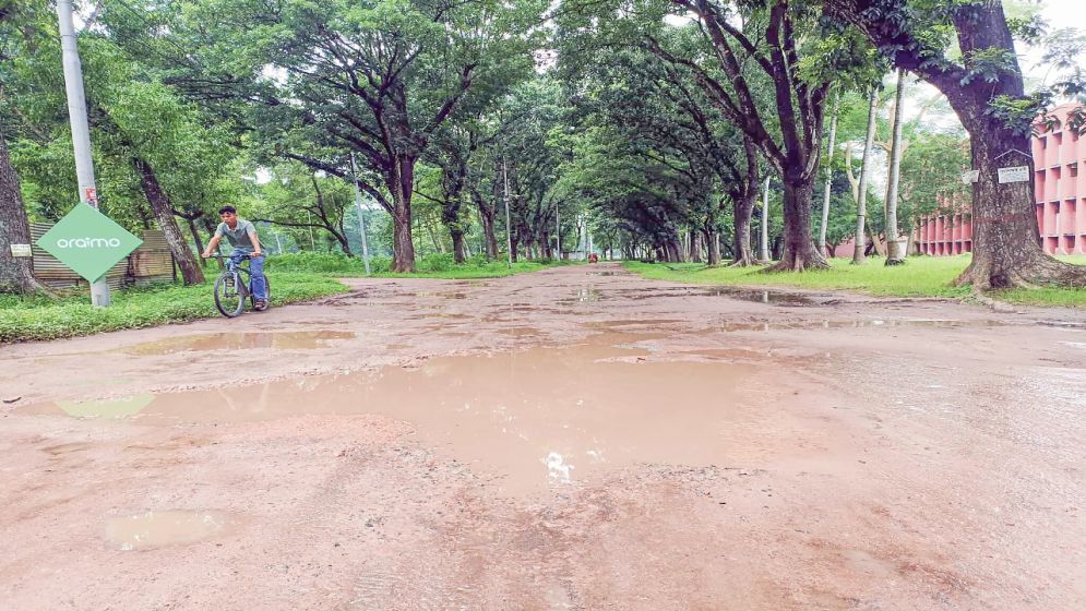 রাজশাহী বিশ্ববিদ্যালয়, অবহেলার দীর্ঘশ্বাস