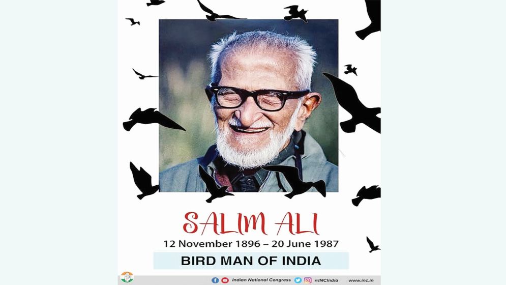 বার্ডম্যান সালিম আলি : শিকারি থেকে পক্ষীবিশারদ